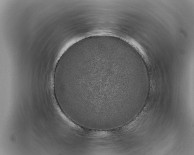 X0000112801382200908281519