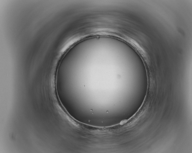 X0000112801384200908281519