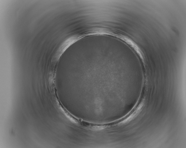 X0000112801385200908281519