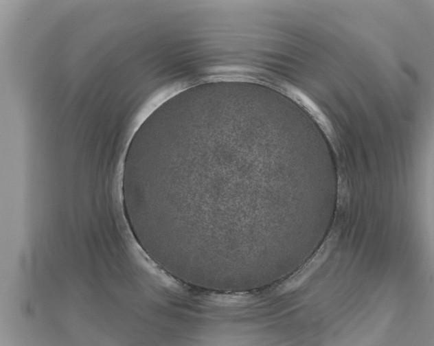 X0000112801386200908281519