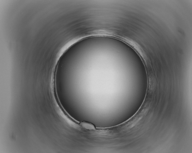 X0000112801387200908281519