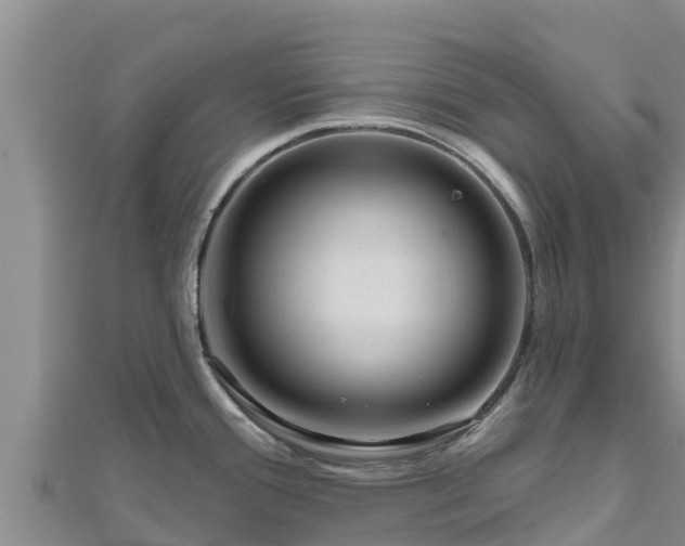 X0000112801388200908281519