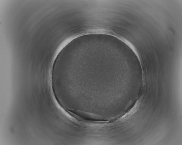 X0000112801389200908281519