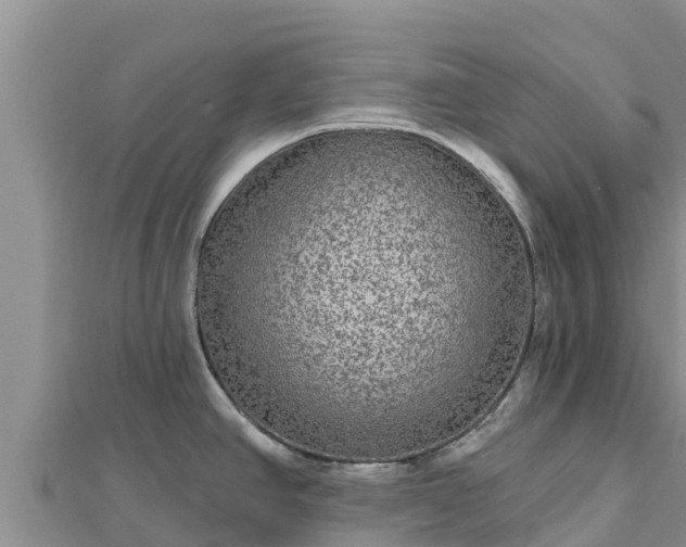 X0000112801390200908281519