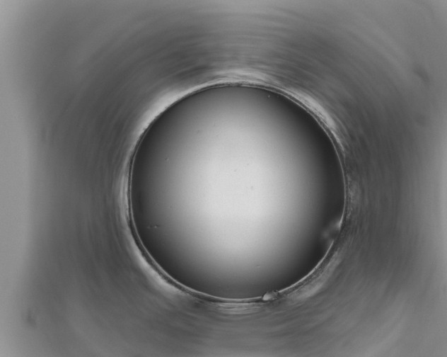 X0000112801391200908281519