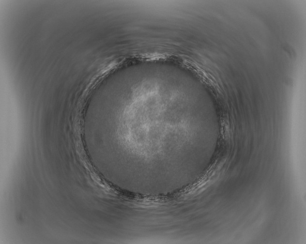 X0000112801393200908281518
