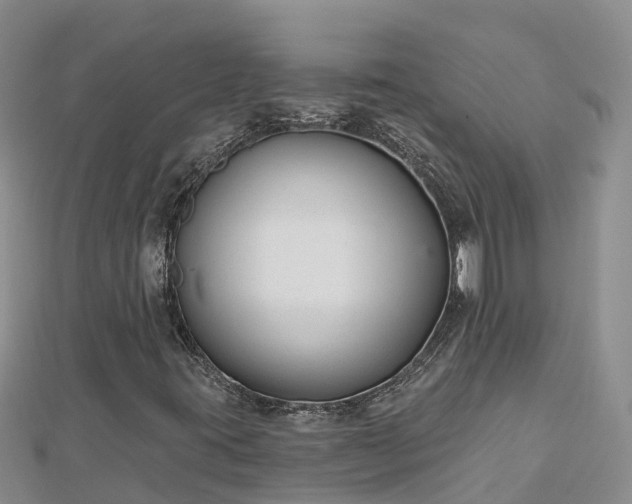 X0000112801395200908281518