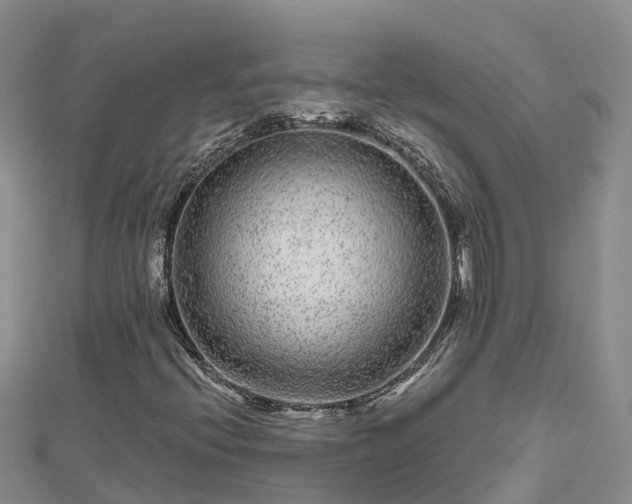 X0000112801396200908281518