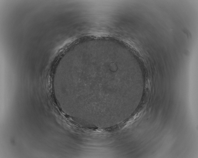 X0000112801398200908281518