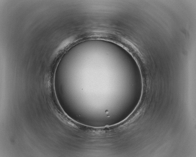 X0000112801403200908281518