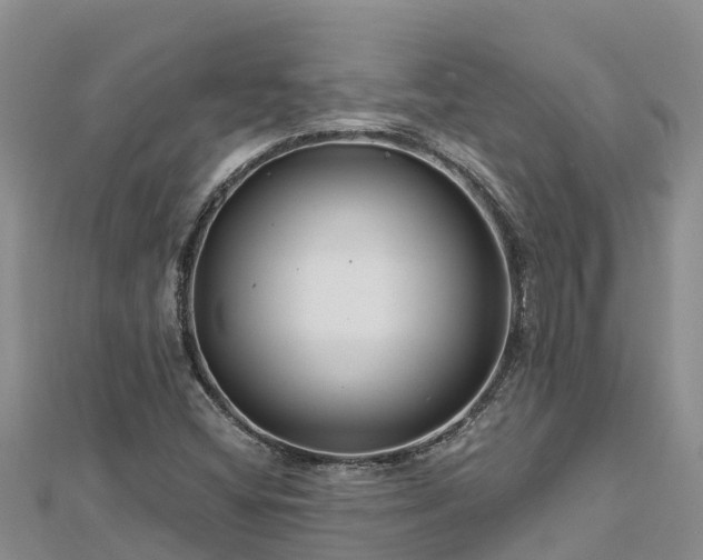 X0000112801404200908281518