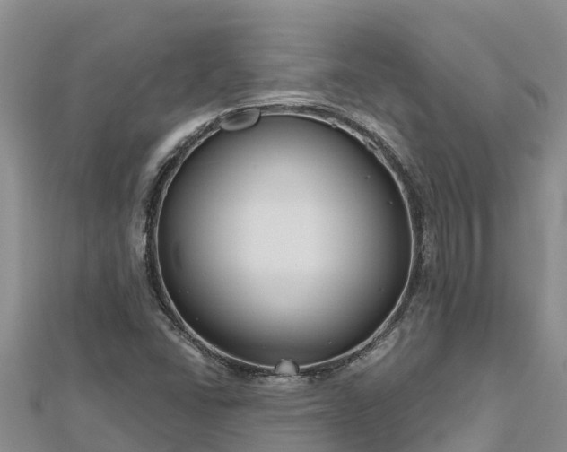 X0000112801406200908281518