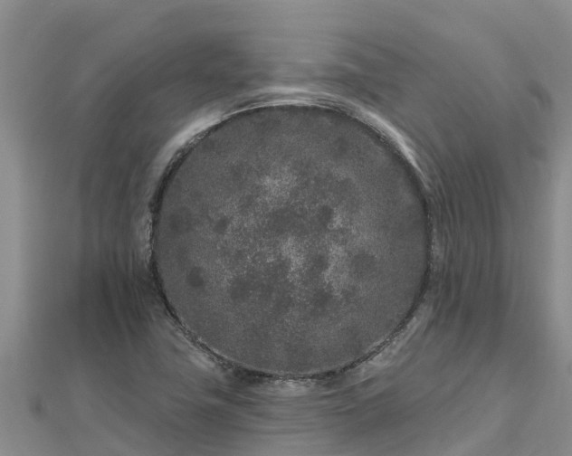 X0000112801411200908281518