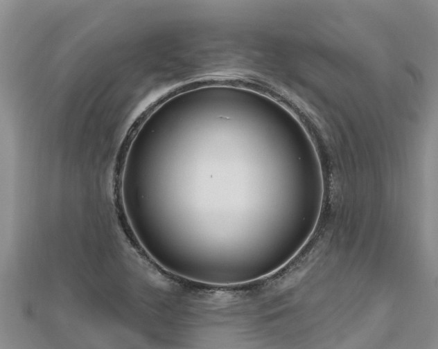 X0000112801412200908281518