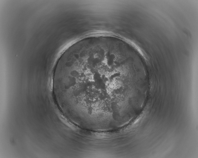 X0000112801413200908281518