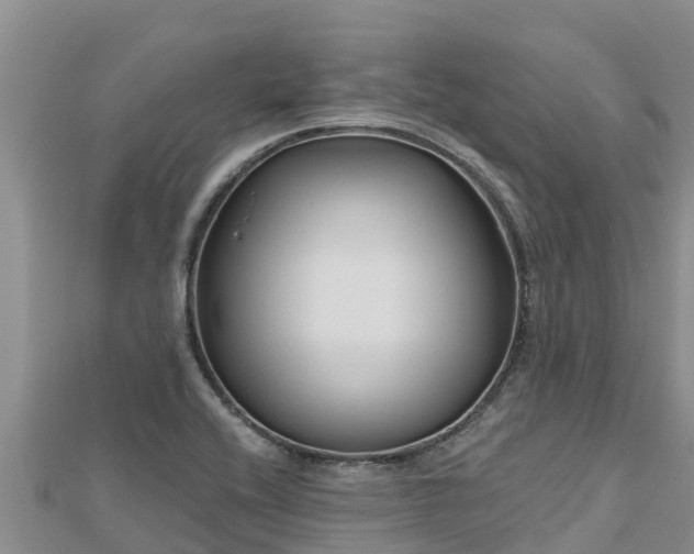 X0000112801416200908281518