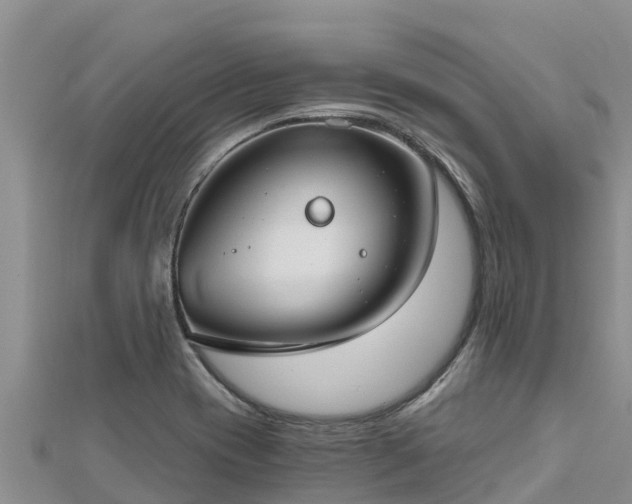 X0000112801417200908281518