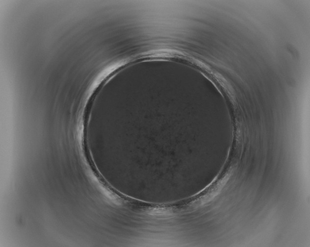 X0000112801418200908281518
