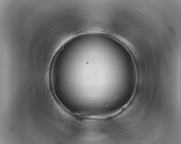 X0000112801423200908281519