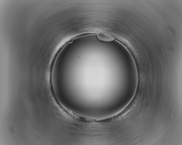 X0000112801424200908281519