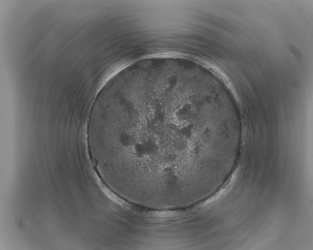 X0000112801425200908281519