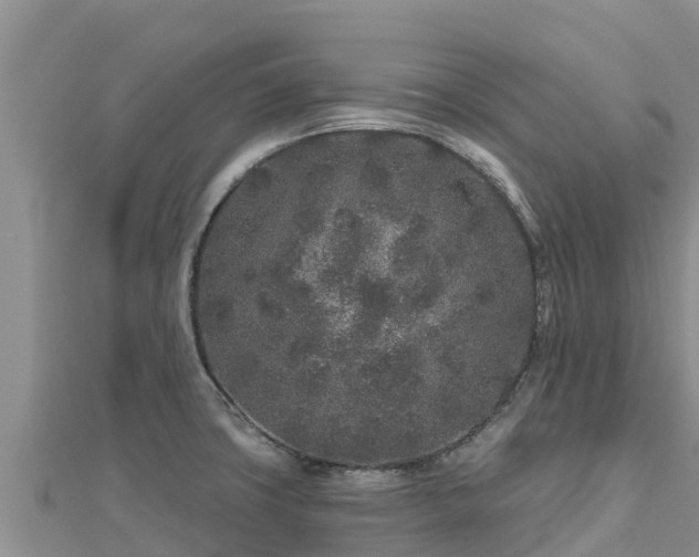 X0000112801427200908281519