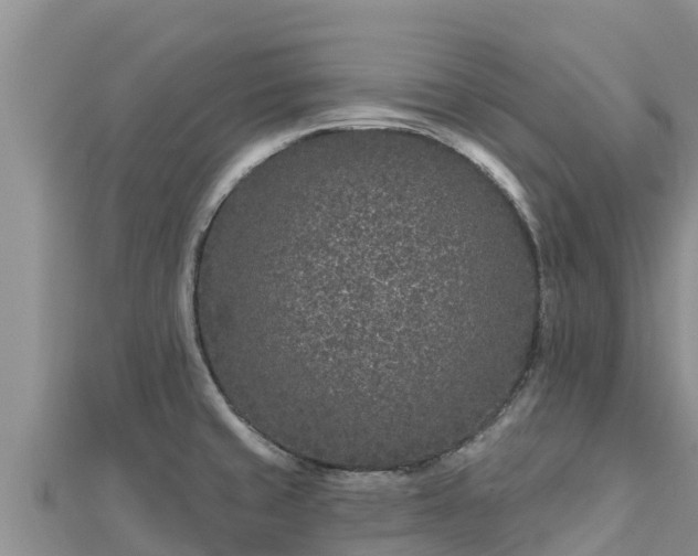 X0000112801429200908281519