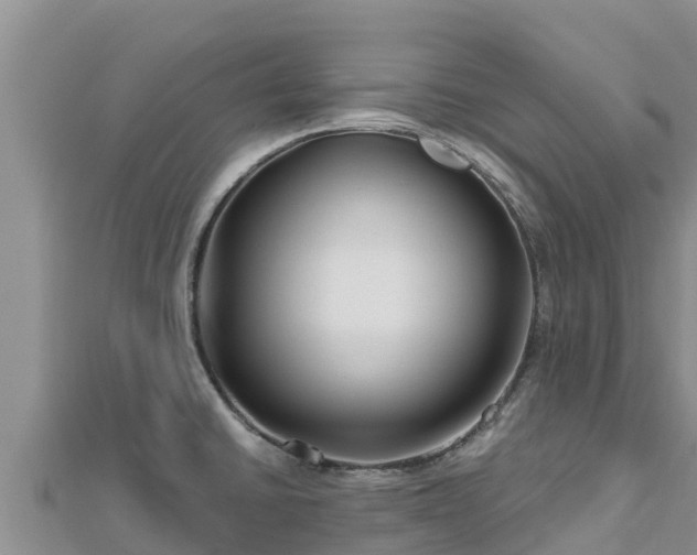 X0000112801430200908281519