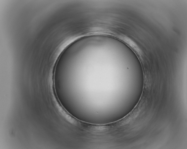 X0000112801431200908281519