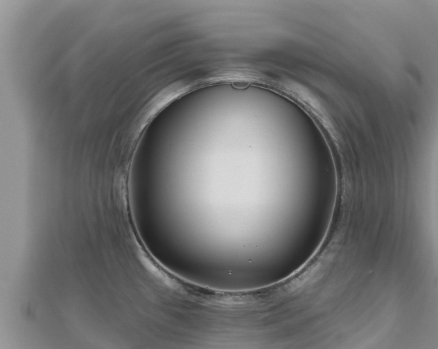 X0000112801433200908281519