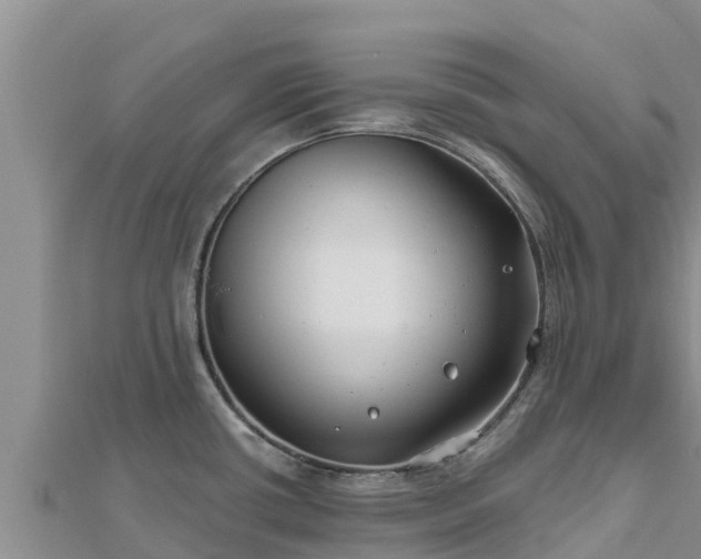 X0000112801434200908281519