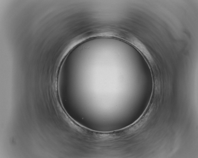 X0000112801436200908281519
