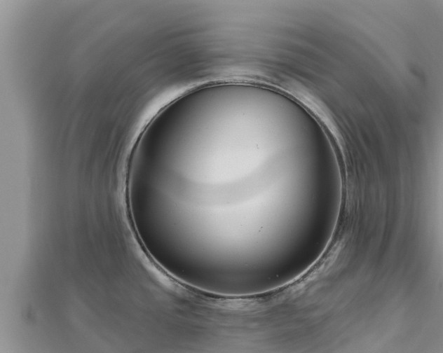 X0000112801437200908281519