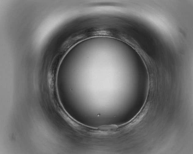 X0000112801438200908281519