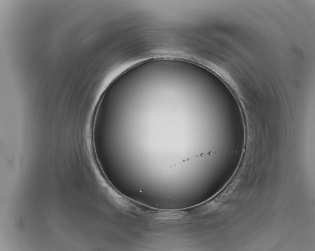 X0000112801440200908281519