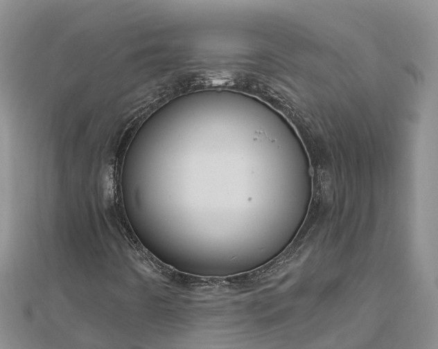 X0000112801442200908281518