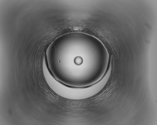 X0000112801443200908281518
