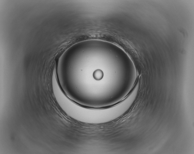 X0000112801444200908281518