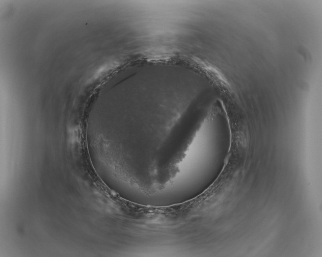 X0000112801445200908281518