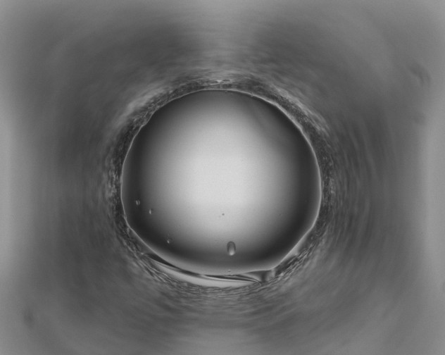 X0000112801447200908281518