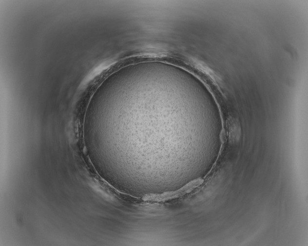 X0000112801448200908281518