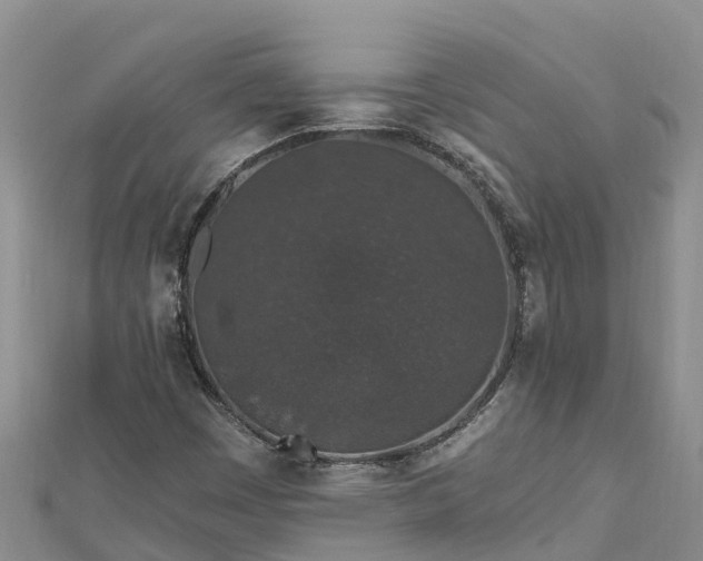 X0000112801449200908281518