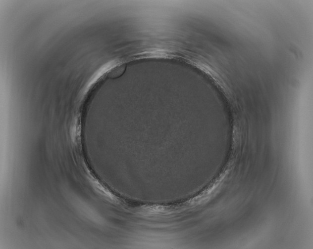 X0000112801450200908281518