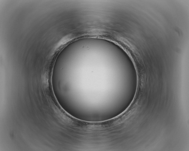 X0000112801451200908281518