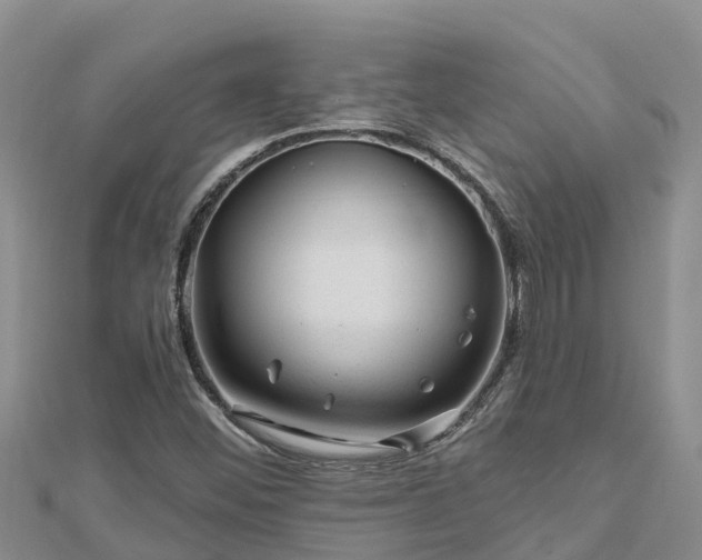 X0000112801452200908281518