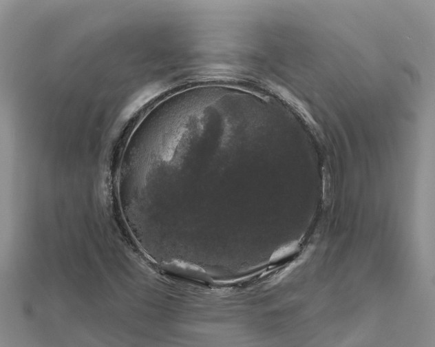X0000112801453200908281518
