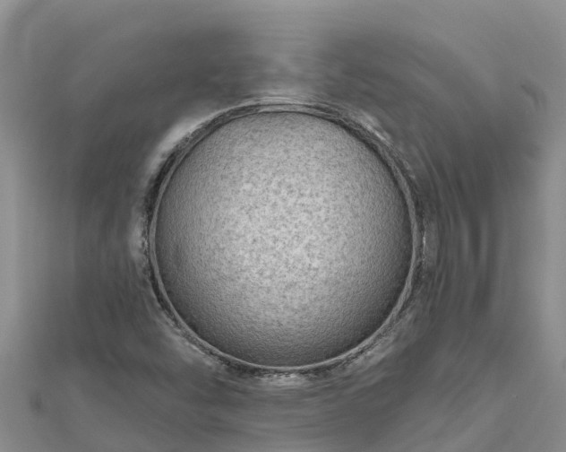 X0000112801454200908281518