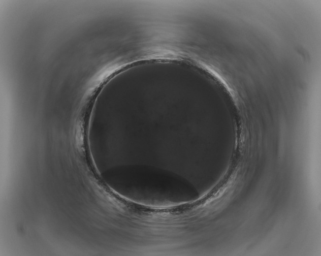 X0000112801455200908281518