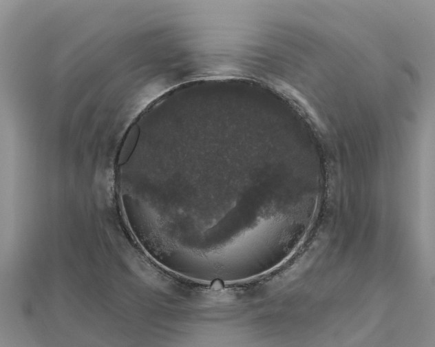X0000112801457200908281518