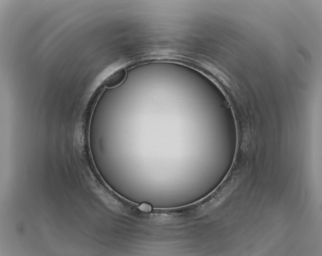 X0000112801458200908281518